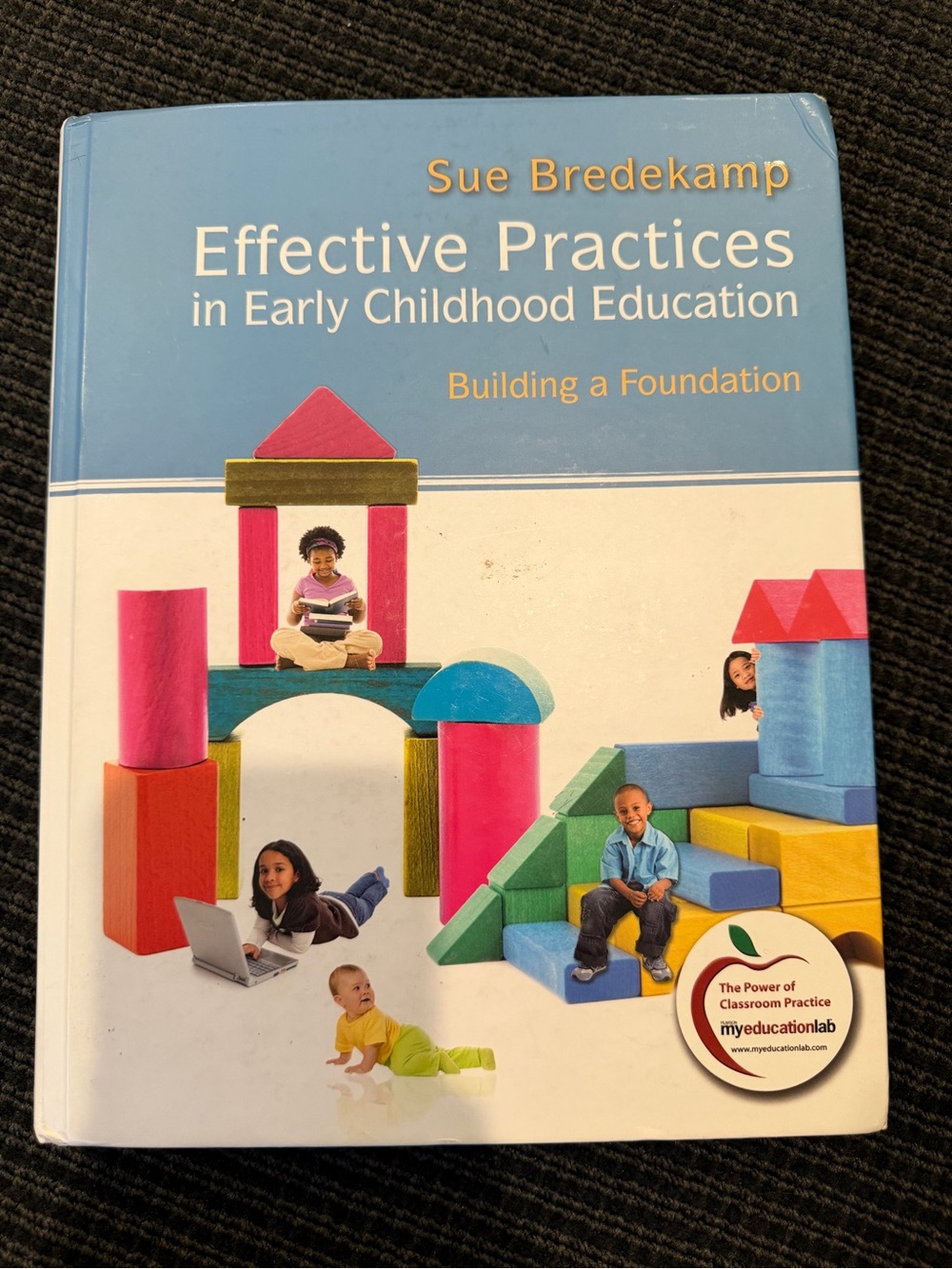 Effective Practices in Early Childhood Education by Sue Bredekamp